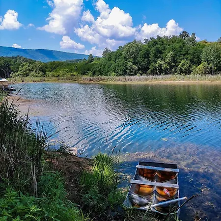 Brvnara Dadi 펜션 *